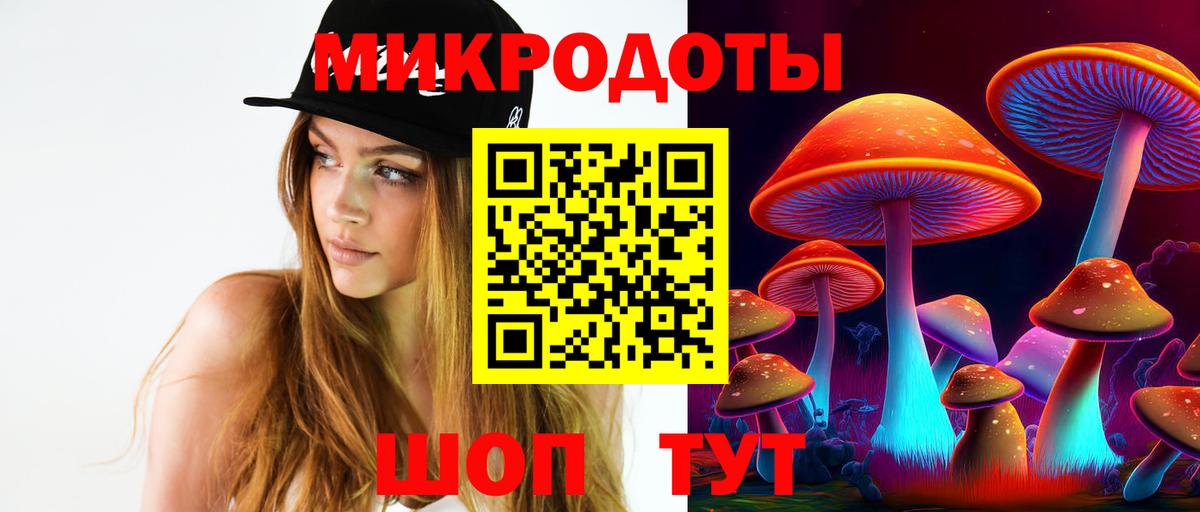Псилоцибиновые грибы мицелий Тимашёвск